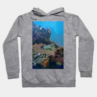 Turtle Chilling Hoodie